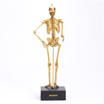 Winters, Stanley (circa 1950) Articulated Male Skeleton Model.